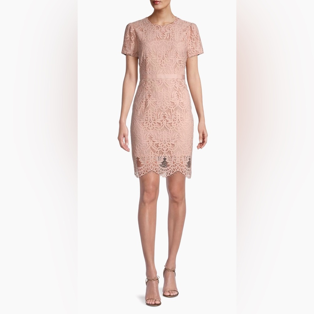 Rachel Parcell Floral Lace Sheath Minidress in Rose Smoke New With Tags